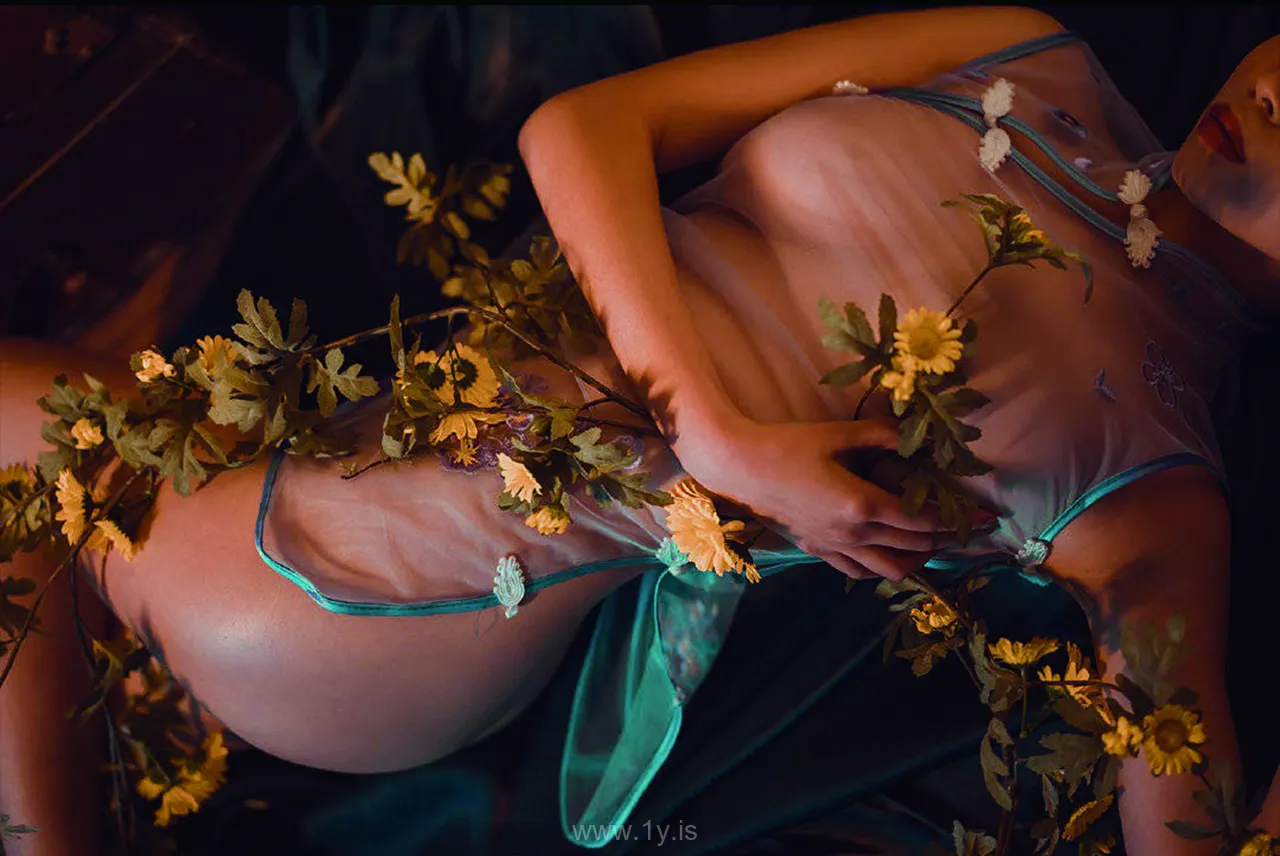 奈汐酱 VOL.02 小雏菊